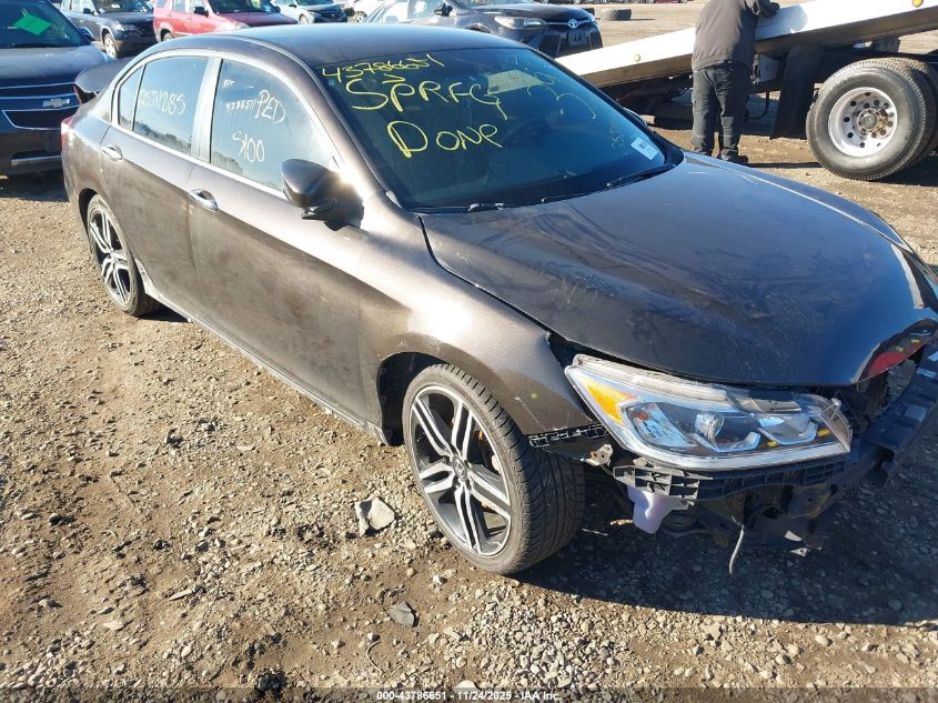 HONDA ACCORD SPORT SE