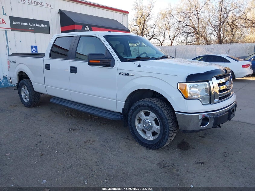 FORD F-150 FX4/HARLEY-DAVIDSON/KING RANCH/LARIAT/PLATINUM/XL/XLT