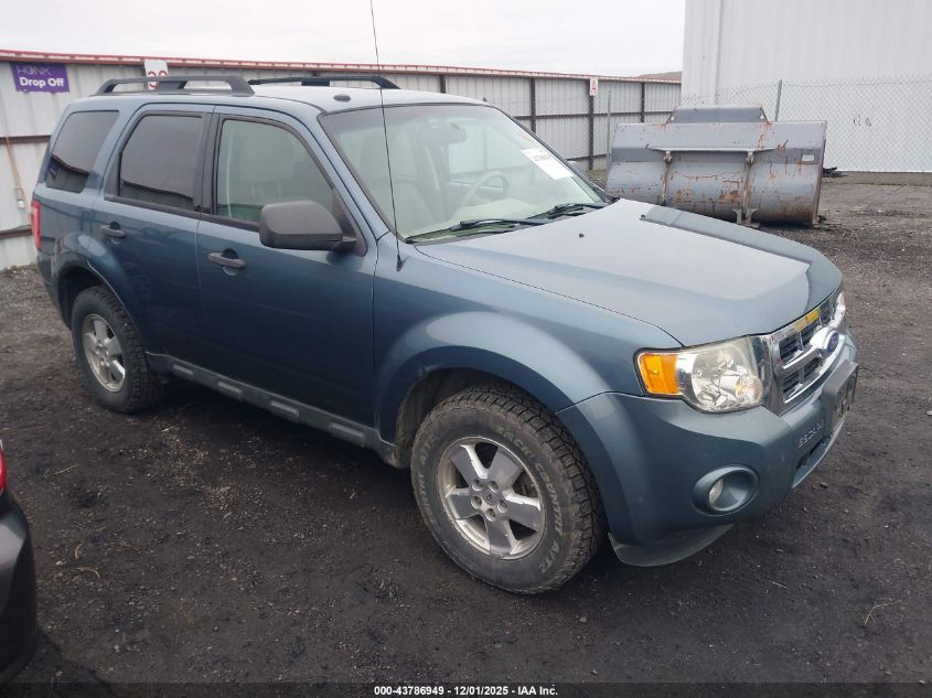 FORD ESCAPE XLT