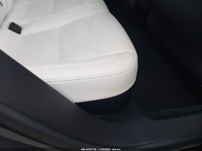 2020 Tesla Model S Performance Dual Motor All-Wheel Drive VIN: 5YJSA1E47LF358287 Lot: 43787729