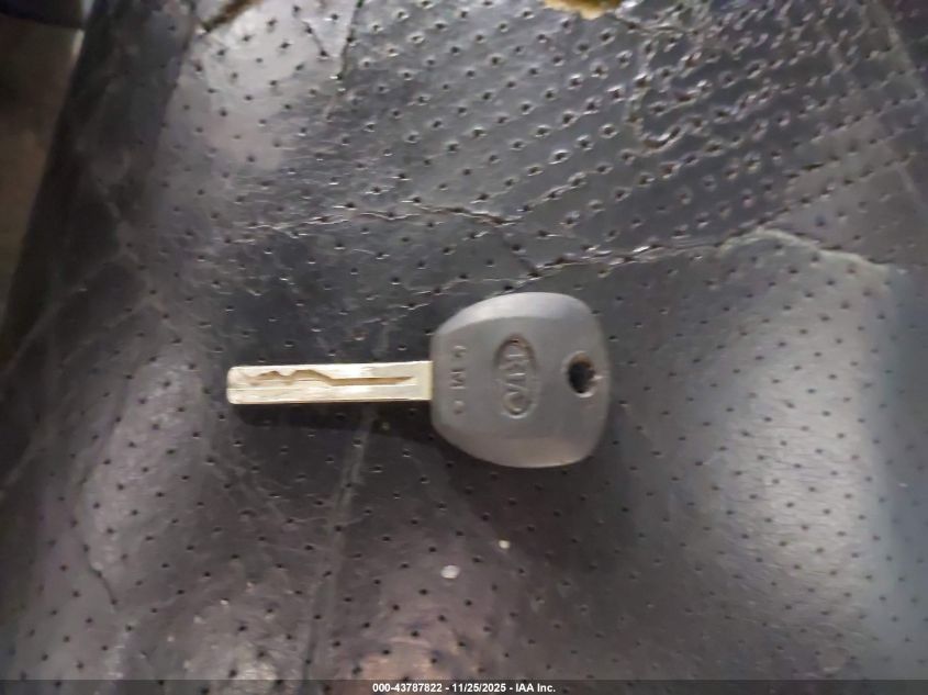 2009 Kia Borrego Ex V6 VIN: KNDJJ741995016176 Lot: 43787822