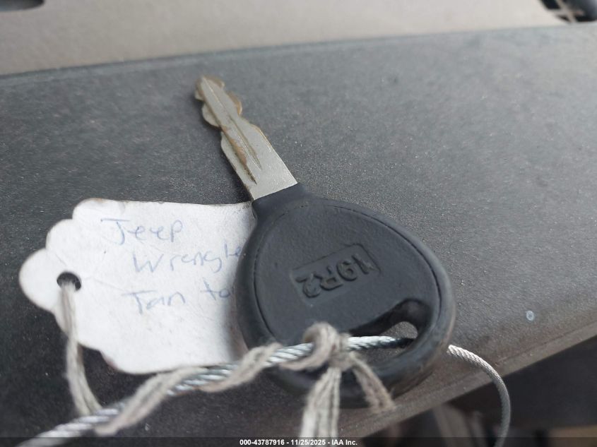 2002 Jeep Wrangler X VIN: 1J4FA39S62P740203 Lot: 43787916