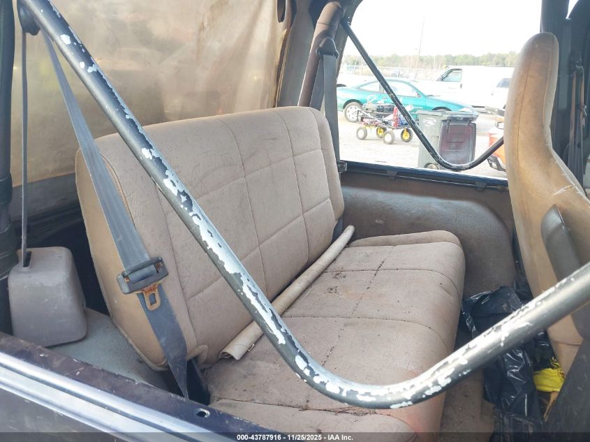 2002 Jeep Wrangler X VIN: 1J4FA39S62P740203 Lot: 43787916