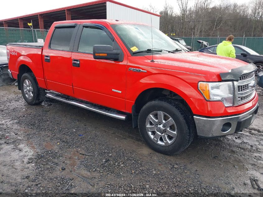 FORD F-150 XLT