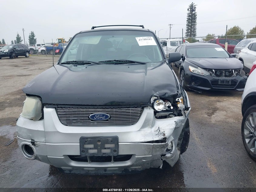 2007 Ford Escape Xlt/Xlt Sport VIN: 1FMYU03117KA25690 Lot: 43788182