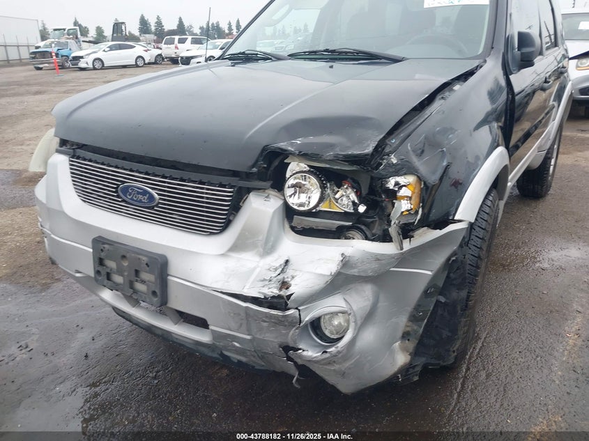 2007 Ford Escape Xlt/Xlt Sport VIN: 1FMYU03117KA25690 Lot: 43788182