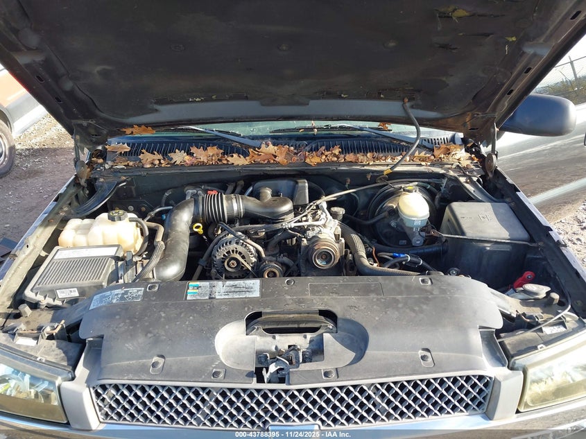 2005 Chevrolet Silverado 1500 Work Truck VIN: 1GCEC14X85Z263107 Lot: 43788395