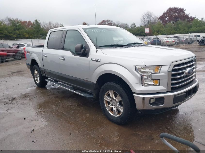 FORD F-150 XLT