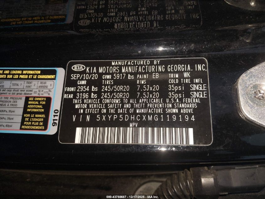 2021 Kia Telluride Sx VIN: 5XYP5DHCXMG119194 Lot: 43788687