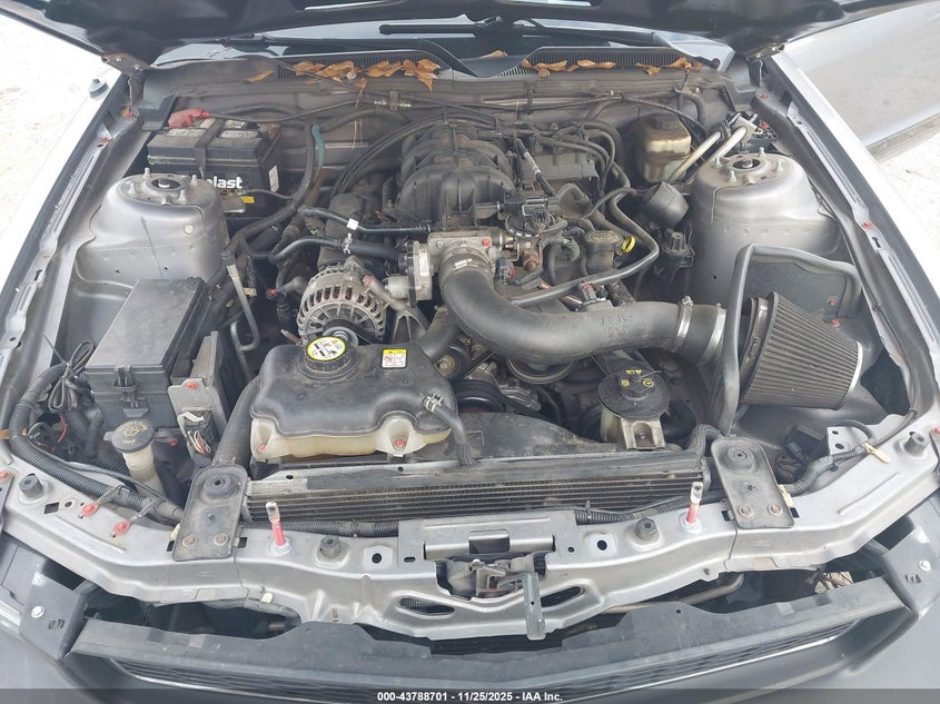 2007 Ford Mustang V6 Deluxe/V6 Premium VIN: 1ZVFT80N175258341 Lot: 43788701