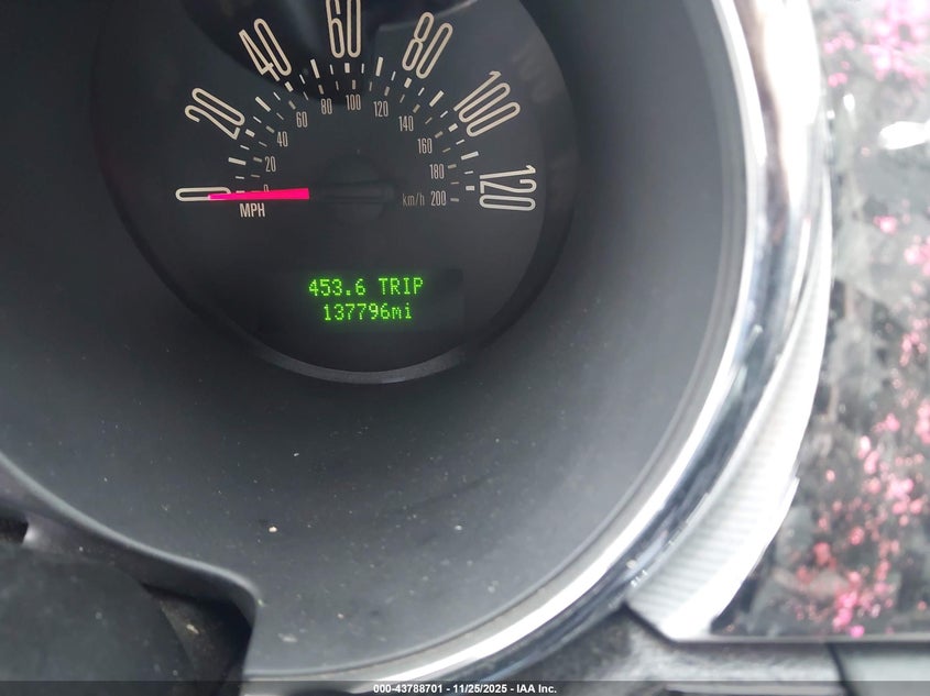 2007 Ford Mustang V6 Deluxe/V6 Premium VIN: 1ZVFT80N175258341 Lot: 43788701