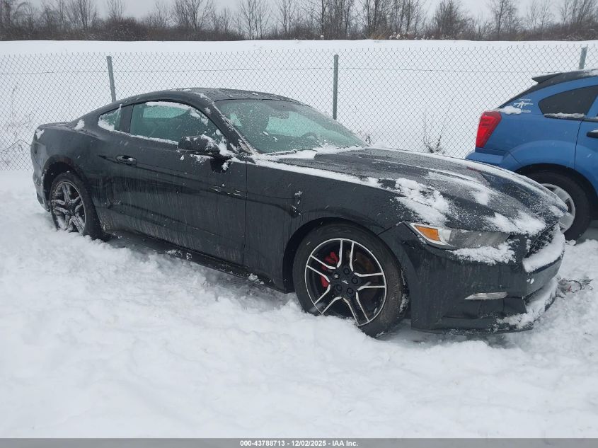 FORD MUSTANG ECOBOOST