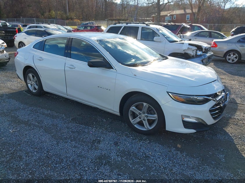 CHEVROLET MALIBU 1LS