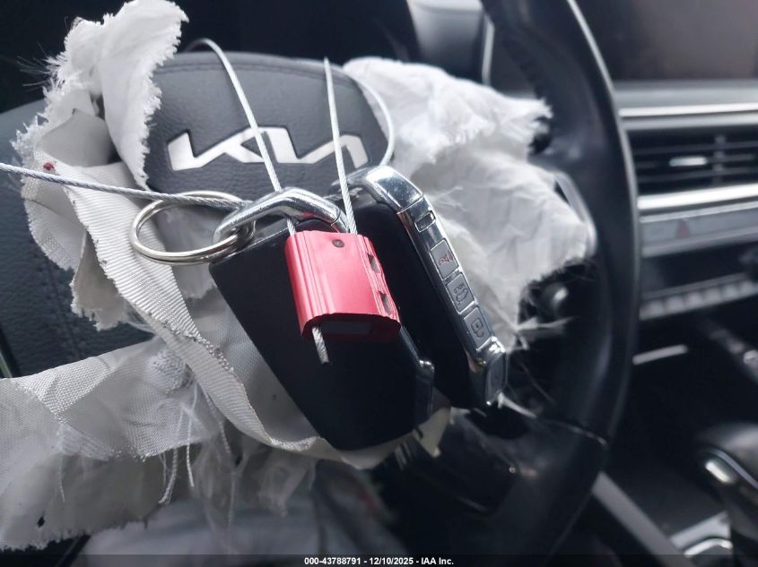 2022 Kia Telluride S VIN: 5XYP6DHC6NG207352 Lot: 43788791