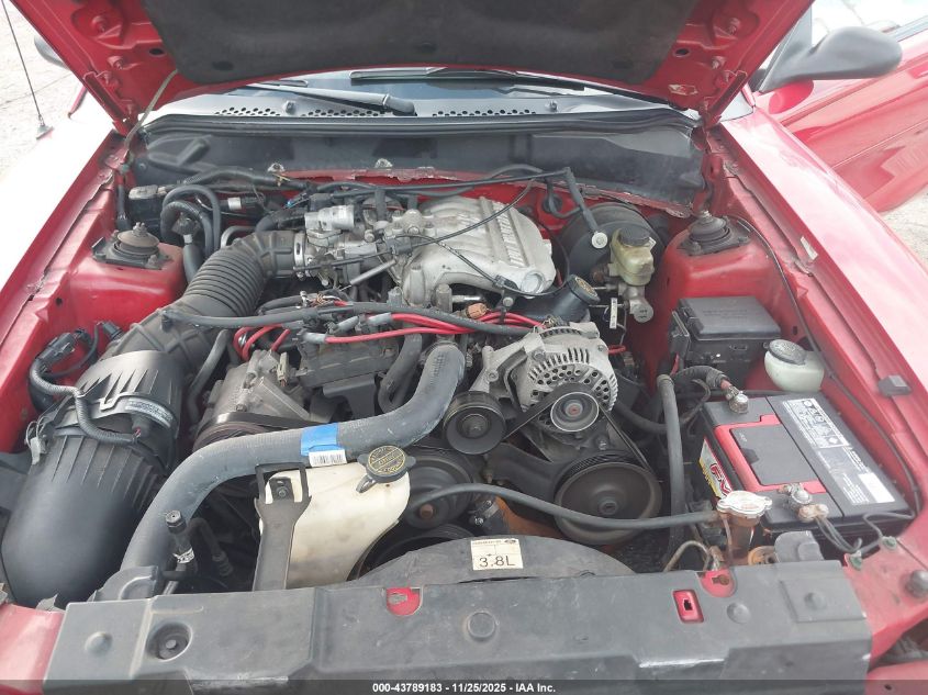 1998 Ford Mustang VIN: 1FAFP444XWF192162 Lot: 43789183