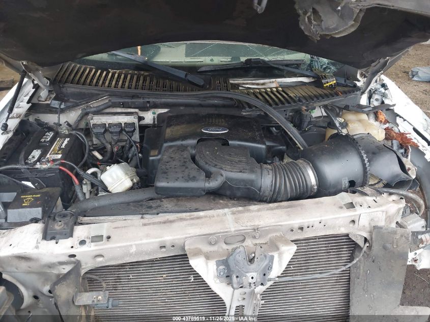 2004 Ford Expedition Eddie Bauer VIN: 1FMPU17L64LA76704 Lot: 43789519