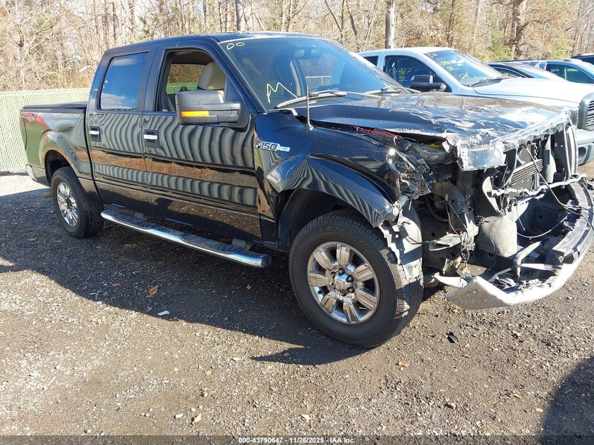 2009 Ford F-150 Xl/Xlt