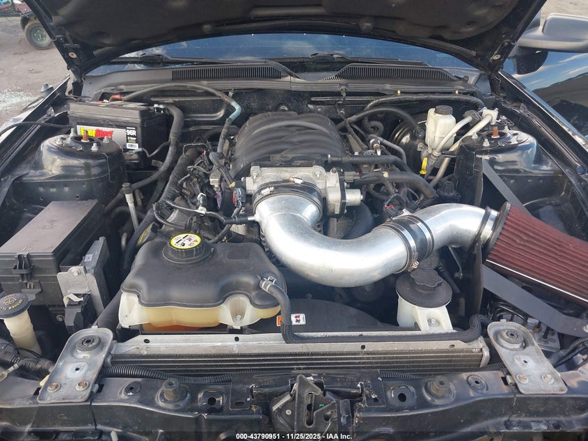 2009 Ford Mustang Gt/Gt Premium VIN: 1ZVHT82H095139182 Lot: 43790951