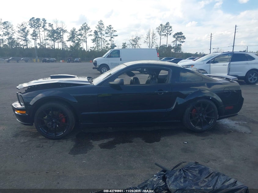 2009 Ford Mustang Gt/Gt Premium VIN: 1ZVHT82H095139182 Lot: 43790951