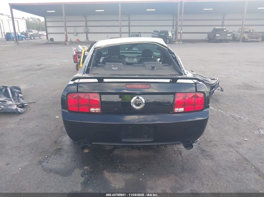 2009 Ford Mustang Gt/Gt Premium VIN: 1ZVHT82H095139182 Lot: 43790951