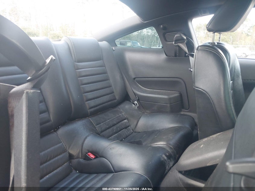 2009 Ford Mustang Gt/Gt Premium VIN: 1ZVHT82H095139182 Lot: 43790951