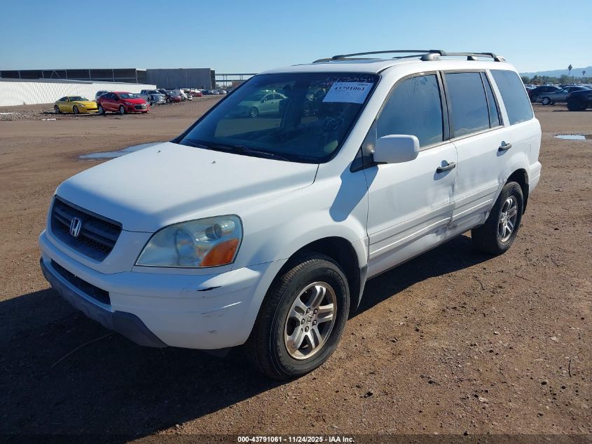 2005 Honda Pilot Ex-L VIN: 5FNYF18505B034519 Lot: 43791061
