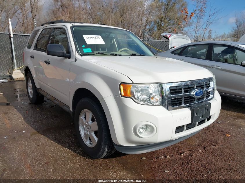 FORD ESCAPE XLT