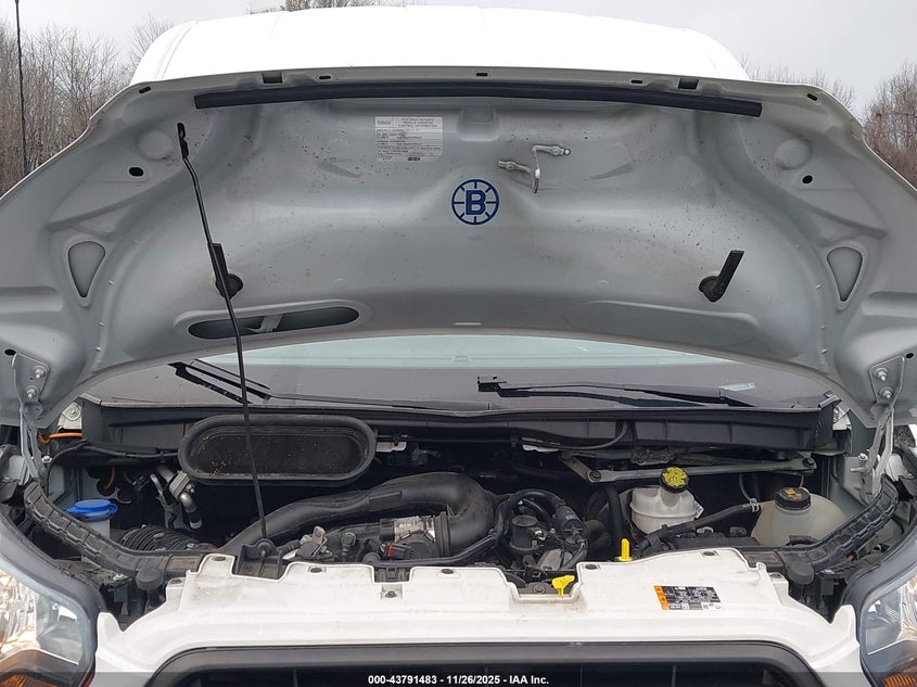 2020 Ford Transit-250 VIN: 1FTBR1C82LKB43546 Lot: 43791483