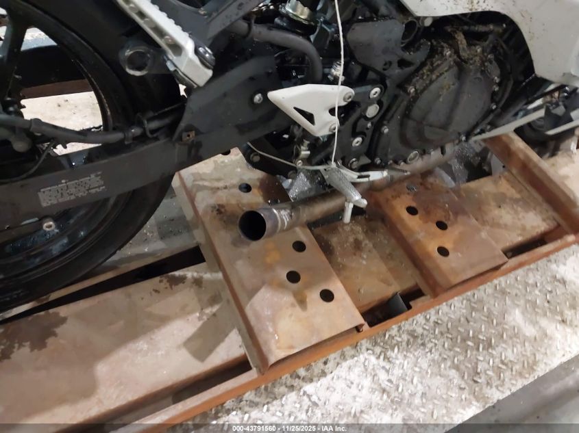 2024 Kawasaki Ex500 VIN: ML5EXGG1XRDA30943 Lot: 43791560