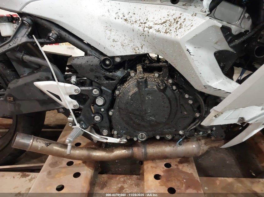 2024 Kawasaki Ex500 VIN: ML5EXGG1XRDA30943 Lot: 43791560