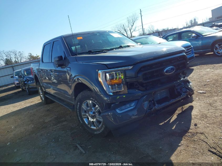 FORD F-150 XLT