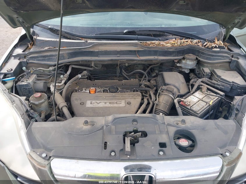 2007 Honda Cr-V Ex-L VIN: JHLRE48777C033798 Lot: 43791740