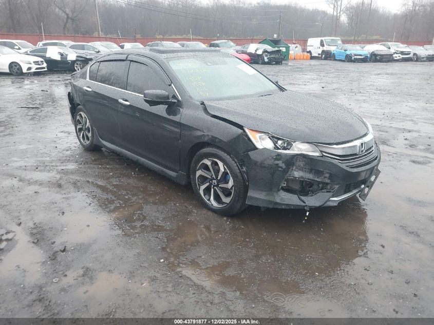 HONDA ACCORD EX-L V6