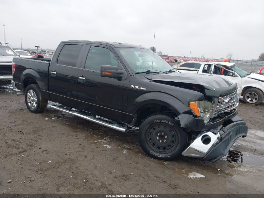 FORD F-150 XLT