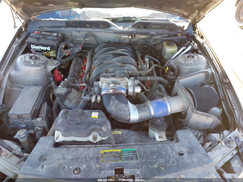 2005 Ford Mustang Gt Deluxe/Gt Premium VIN: 1ZVHT82H255200705 Lot: 43792931