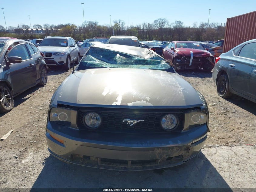 2005 Ford Mustang Gt Deluxe/Gt Premium VIN: 1ZVHT82H255200705 Lot: 43792931