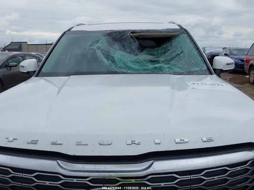 2021 Kia Telluride S VIN: 5XYP6DHC3MG162613 Lot: 43793044