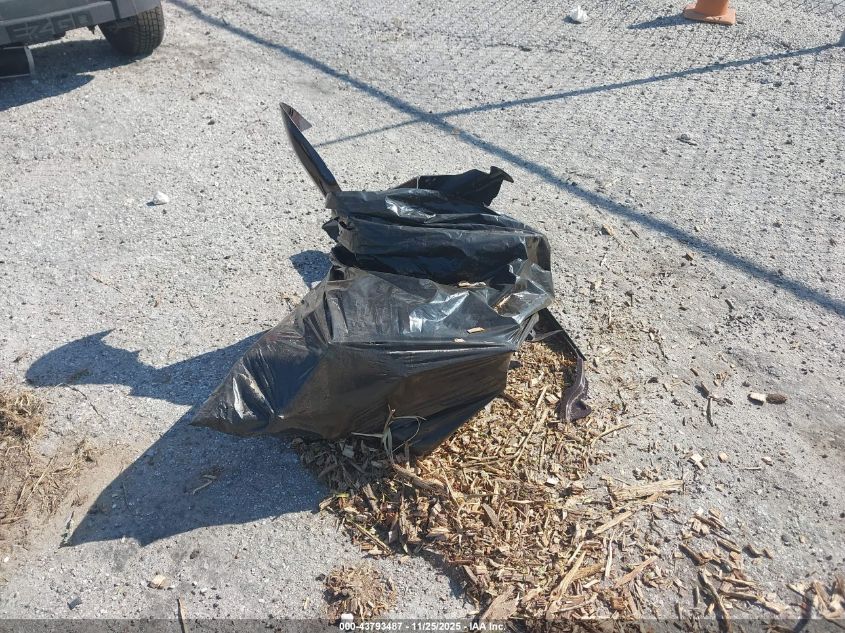 2019 Harley-Davidson Flhxse VIN: 1HD1PXL11KB954842 Lot: 43793487