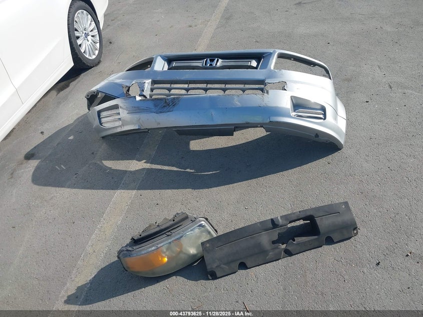 2008 Honda Element Sc VIN: 5J6YH18968L013201 Lot: 43793625