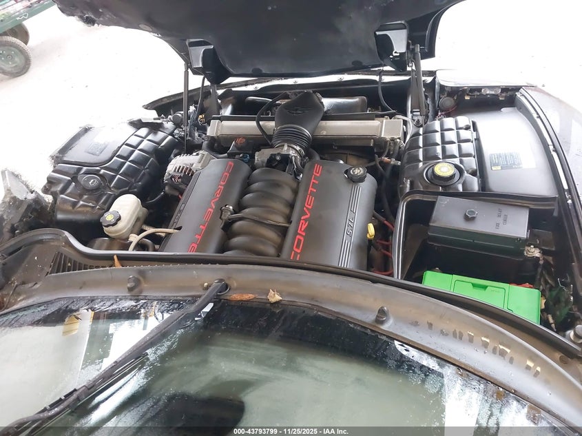 2003 Chevrolet Corvette VIN: 1G1YY32G735130395 Lot: 43793799