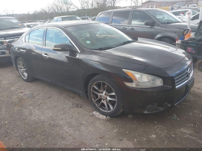 NISSAN MAXIMA 3.5 SV