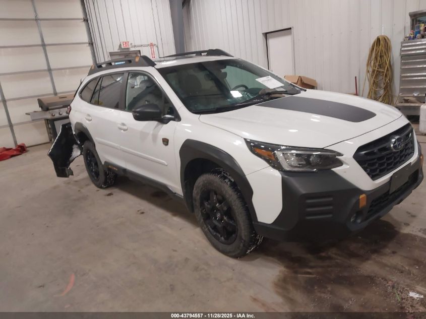 SUBARU OUTBACK WILDERNESS