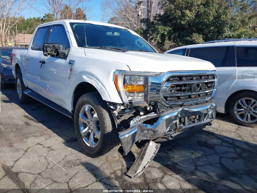 FORD F-150 XLT