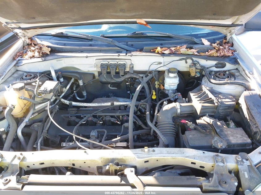 2006 Mazda Tribute I VIN: 4F2YZ02Z56KM14814 Lot: 43795262