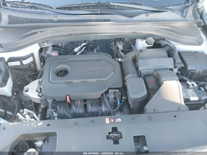 2020 Hyundai Santa Fe Sel VIN: 5NMS33AD6LH232741 Lot: 43795454