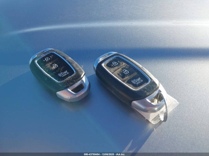 2020 Hyundai Santa Fe Sel VIN: 5NMS33AD6LH232741 Lot: 43795454