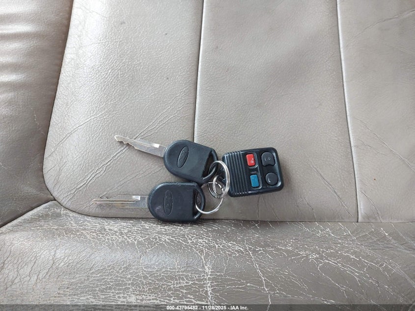 2004 Ford Expedition Eddie Bauer VIN: 1FMPU18L54LB42447 Lot: 43795482