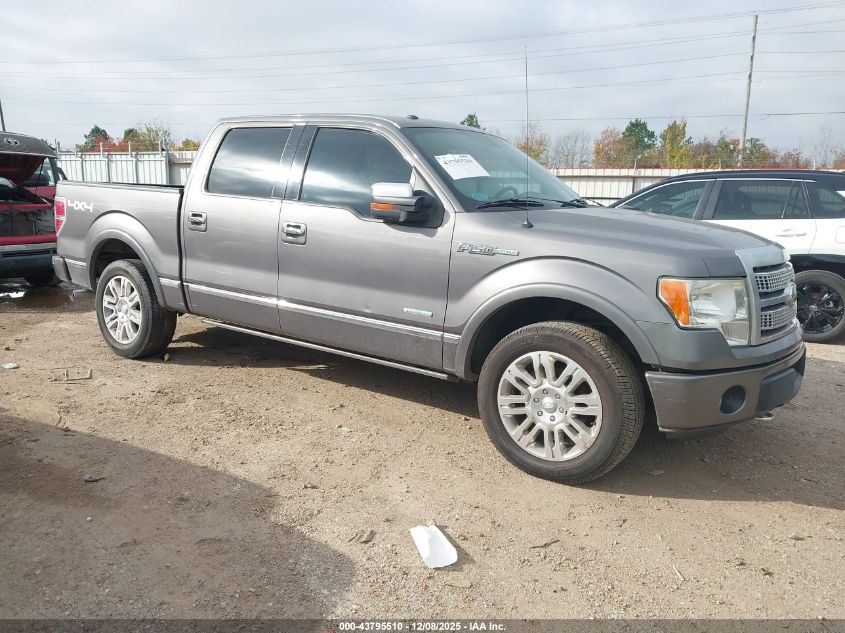 FORD F-150 PLATINUM