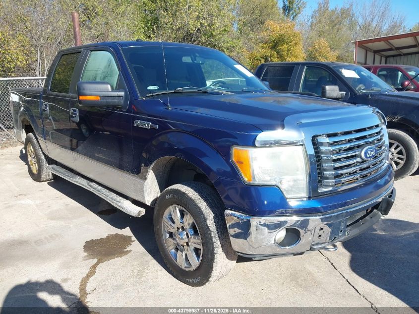 FORD F-150 XLT