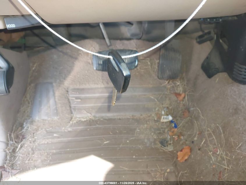 1999 Ford F-150 Work Series/Xl/Xlt VIN: 1FTZX1723XNA76387 Lot: 43796081